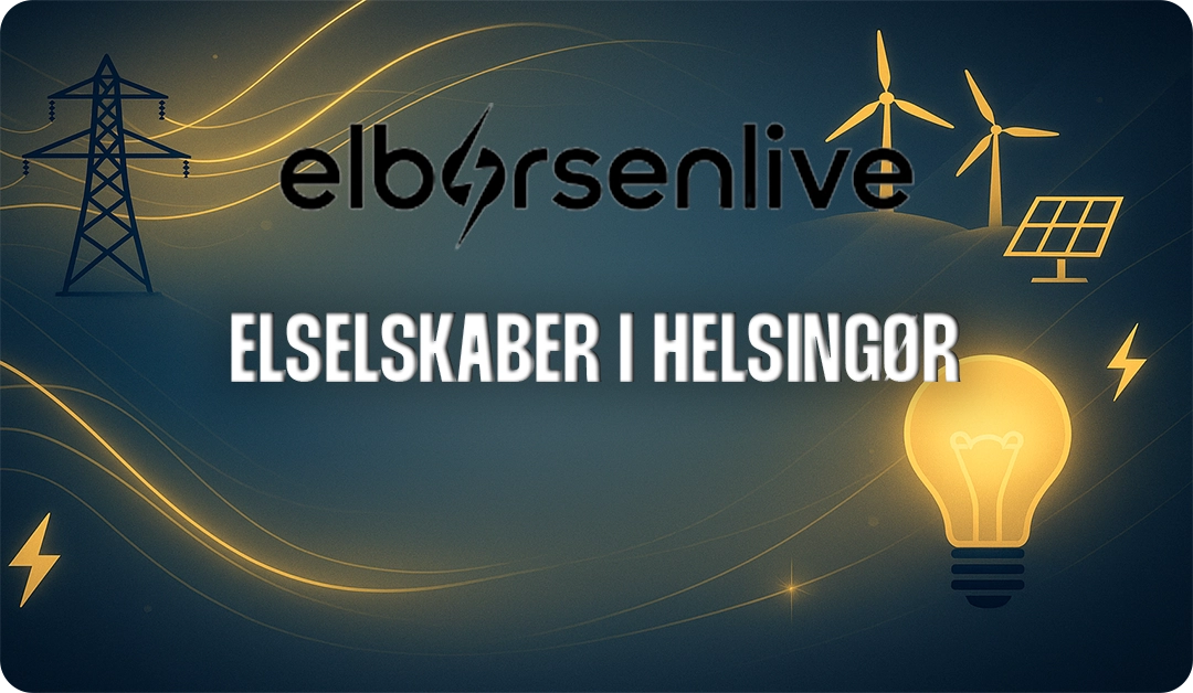 Elselskaber i Helsingør