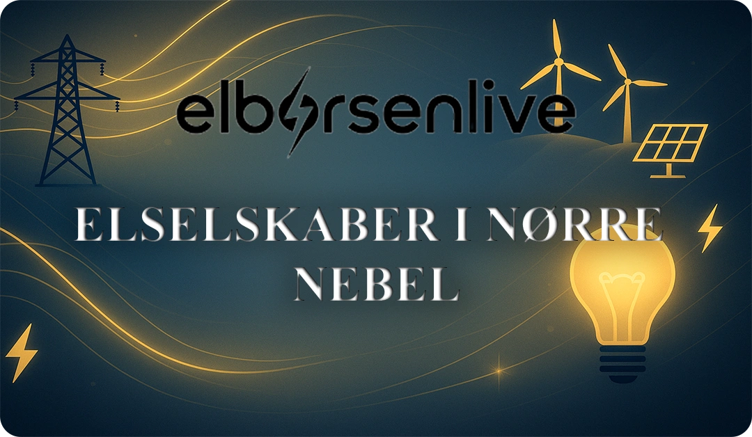 Elselskaber i Nørre Nebel