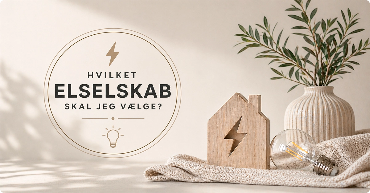 Hvilket elselskab skal jeg vælge