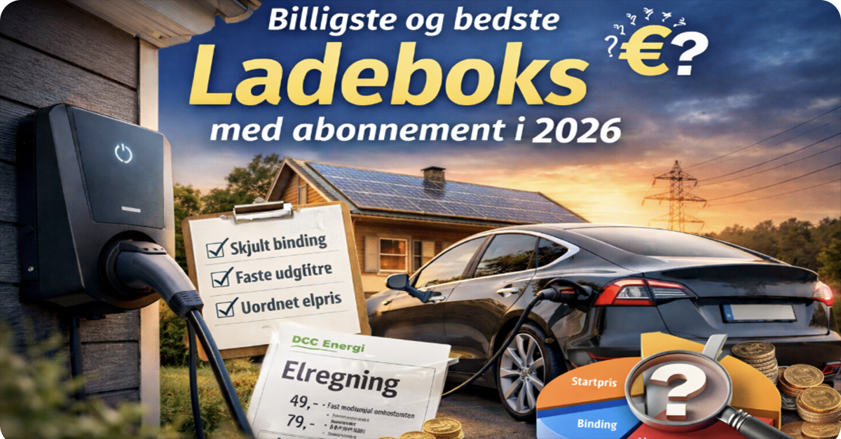 bedste ladeboks med abonnement