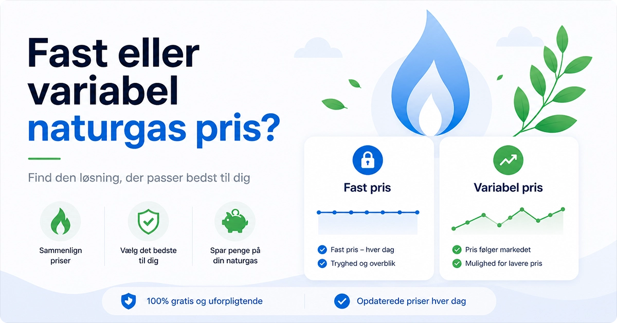 Fast eller variabel naturgas pris