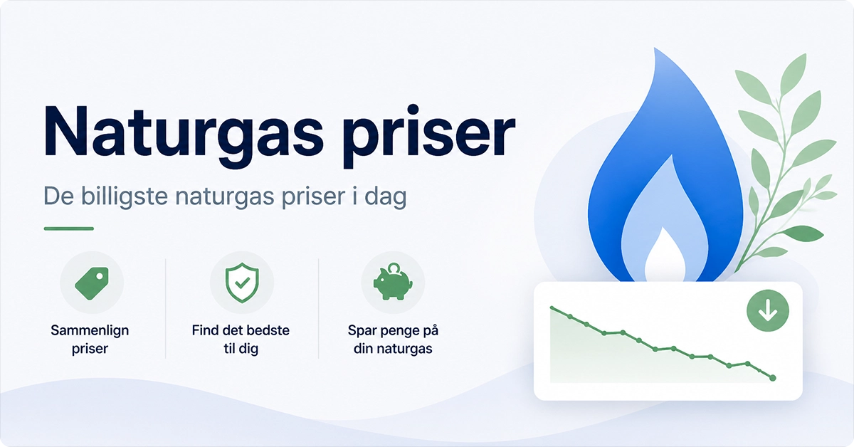 Naturgas priser